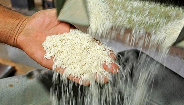 قیمت انواع برنج در میادین میوه و تره‌بار