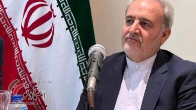 رضا امیری مقدم